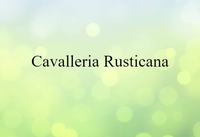 Cavalleria Rusticana (noun) Definition, Meaning & Examples