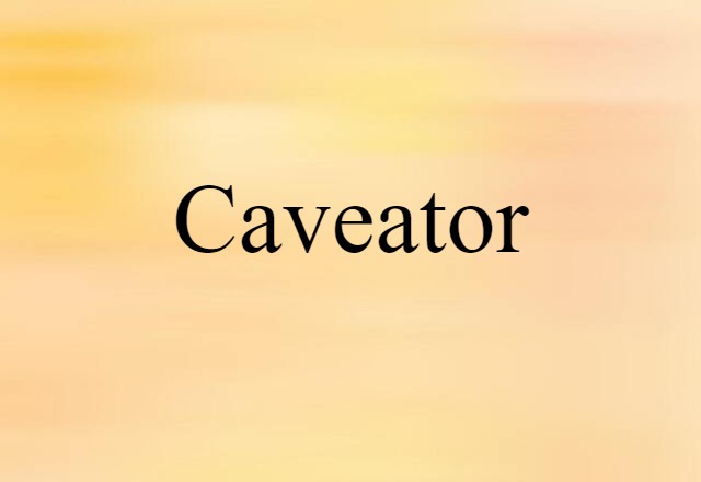 Caveator (noun) Definition, Meaning & Examples