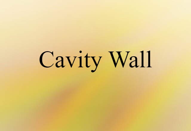 Cavity Wall (noun) Definition, Meaning & Examples