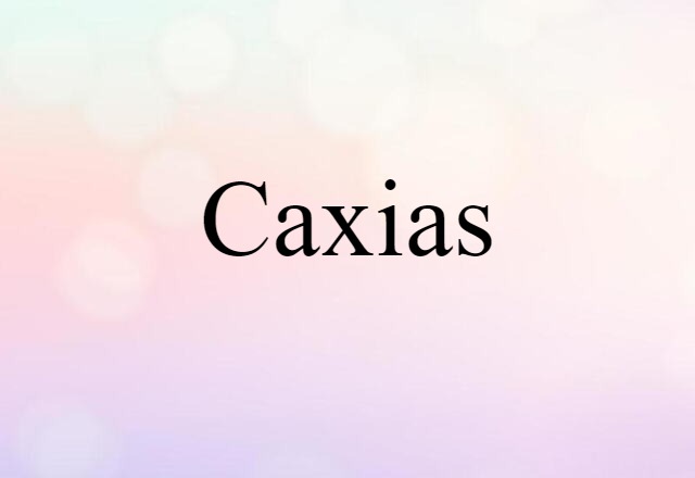 Caxias (noun) Definition, Meaning & Examples