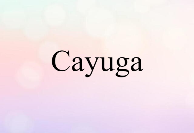 Cayuga