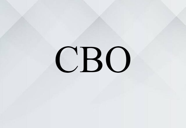 CBO (noun) Definition, Meaning & Examples