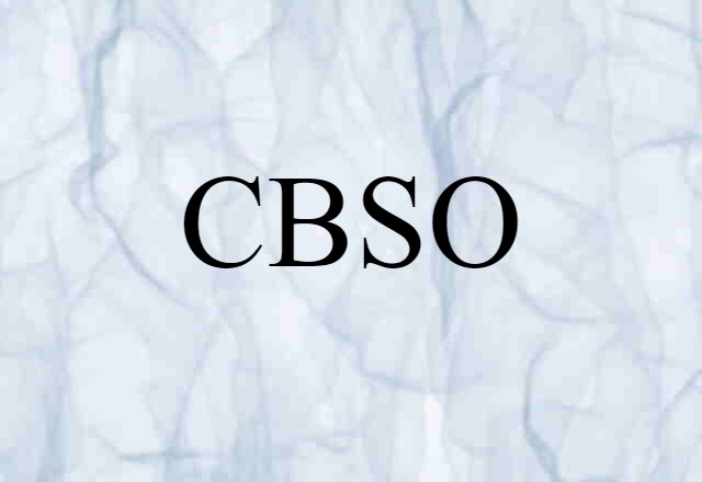 CBSO (noun) Definition, Meaning & Examples