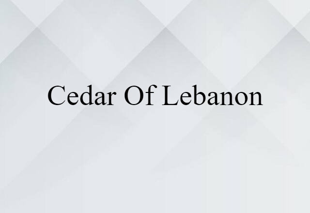 cedar of Lebanon