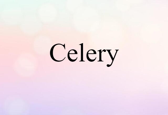 Celery (noun) Definition, Meaning & Examples