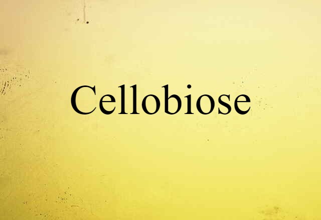 cellobiose