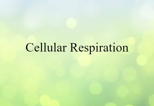 cellular respiration