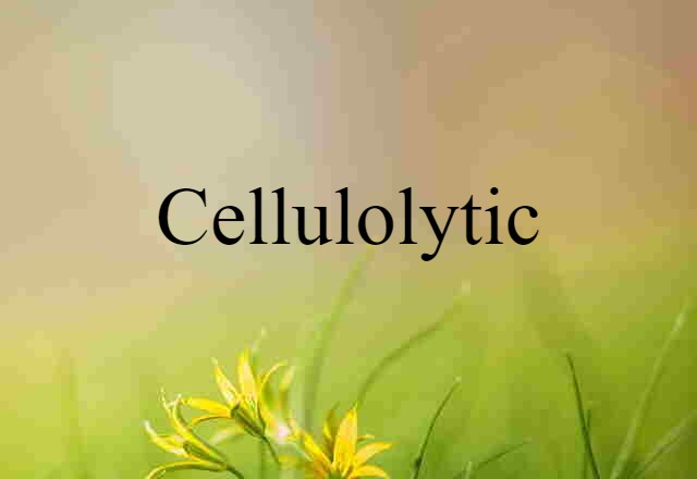 Cellulolytic (noun) Definition, Meaning & Examples