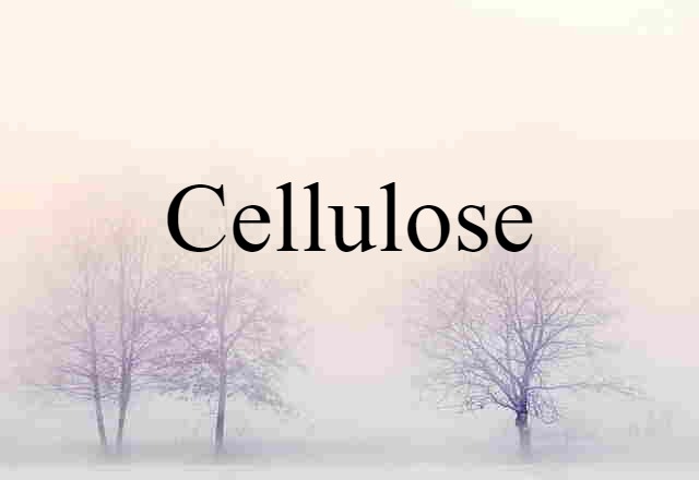 Cellulose (noun) Definition, Meaning & Examples