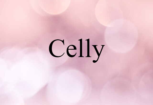 Celly (noun) Definition, Meaning & Examples