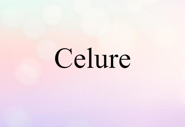 Celure (noun) Definition, Meaning & Examples