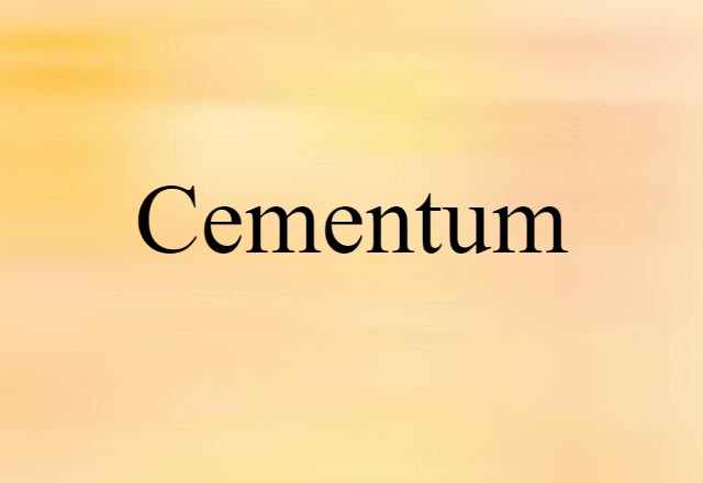 Cementum (noun) Definition, Meaning & Examples