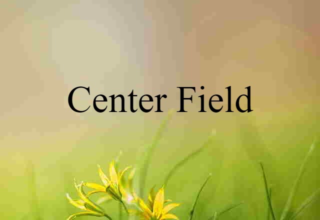 Center Field (noun) Definition, Meaning & Examples