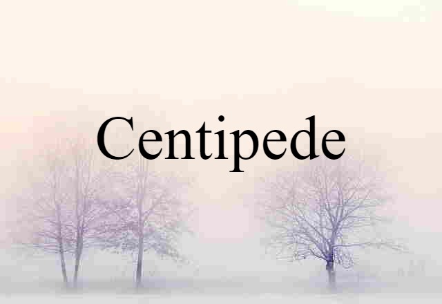 centipede