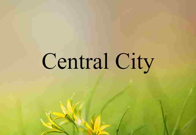 Central City (noun) Definition, Meaning & Examples