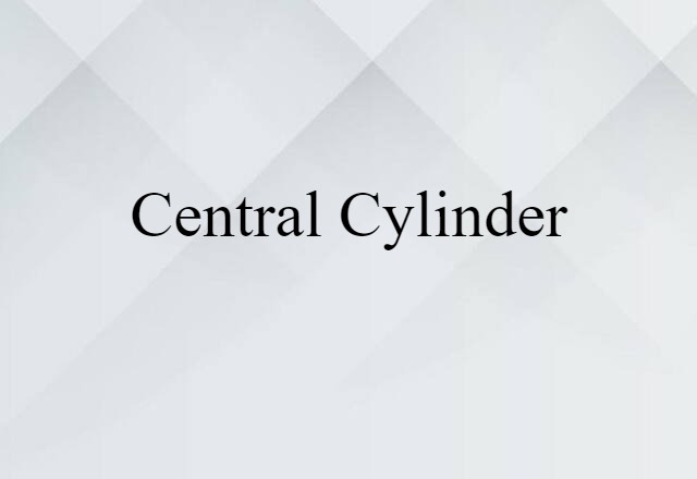 central cylinder