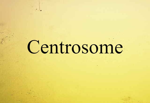 centrosome