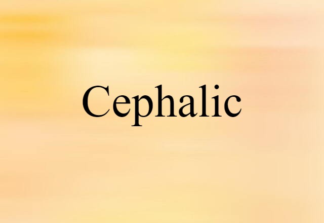 Cephalic (noun) Definition, Meaning & Examples