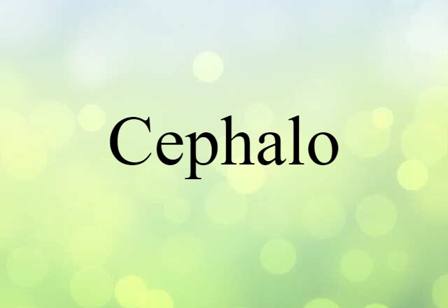 Cephalo (noun) Definition, Meaning & Examples