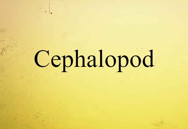 Cephalopod (noun) Definition, Meaning & Examples