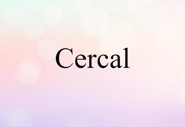 Cercal (noun) Definition, Meaning & Examples