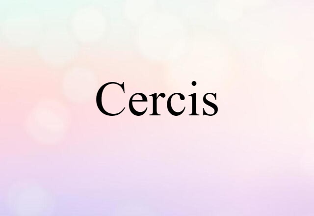 cercis