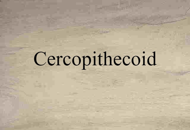 cercopithecoid