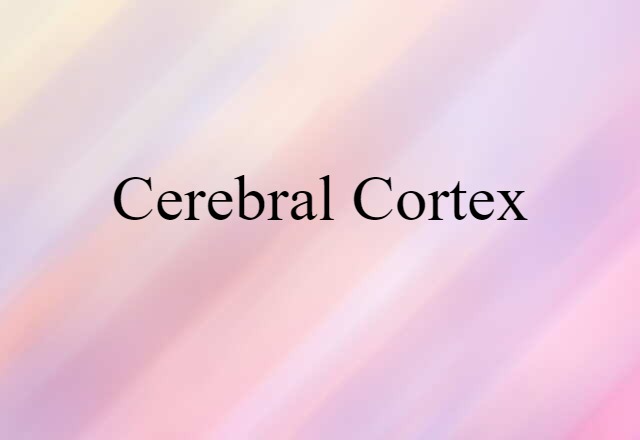 Cerebral Cortex (noun) Definition, Meaning & Examples