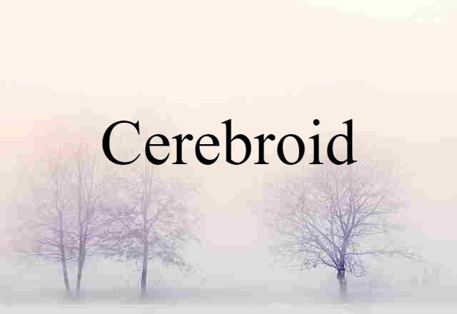 Cerebroid (noun) Definition, Meaning & Examples