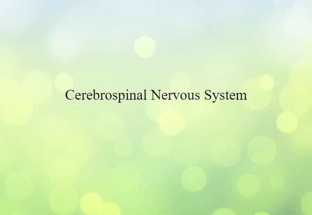 cerebrospinal nervous system