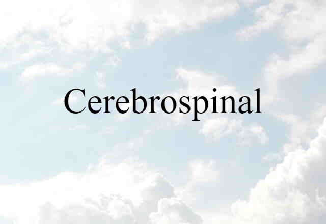 cerebrospinal