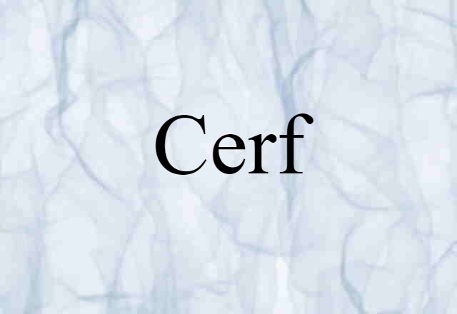 Cerf (noun) Definition, Meaning & Examples