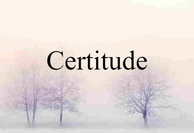 Certitude (noun) Definition, Meaning & Examples