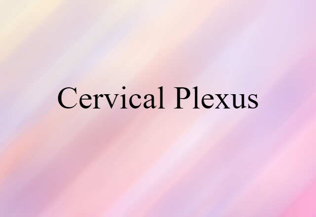 cervical plexus