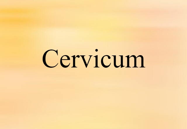 Cervicum (noun) Definition, Meaning & Examples