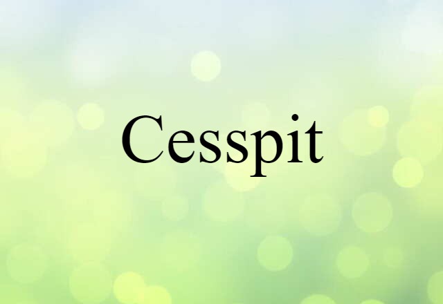 cesspit