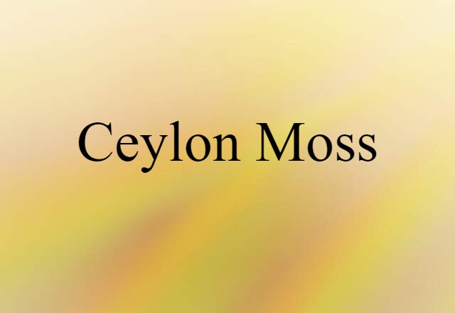 Ceylon moss