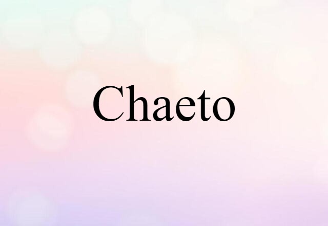 Chaeto (noun) Definition, Meaning & Examples