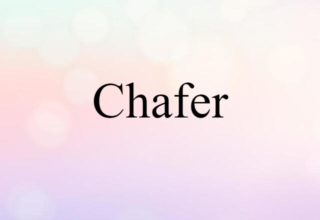 Chafer (noun) Definition, Meaning & Examples