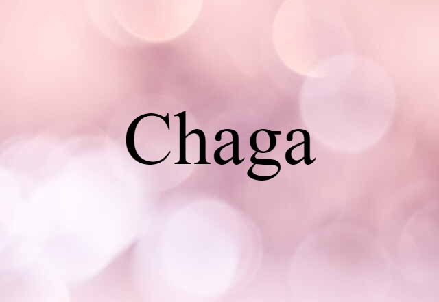 Chaga (noun) Definition, Meaning & Examples