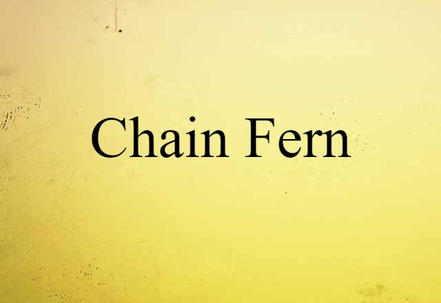 Chain Fern (noun) Definition, Meaning & Examples