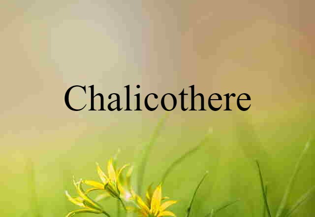 Chalicothere (noun) Definition, Meaning & Examples