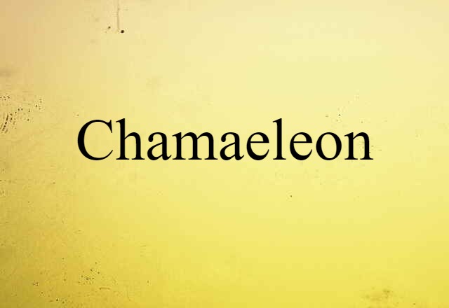 Chamaeleon (noun) Definition, Meaning & Examples