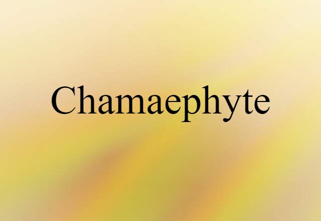 Chamaephyte (noun) Definition, Meaning & Examples