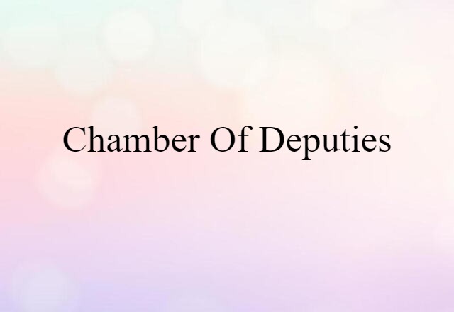 Chamber Of Deputies (noun) Definition, Meaning & Examples