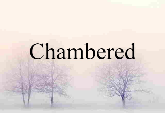 Chambered (noun) Definition, Meaning & Examples