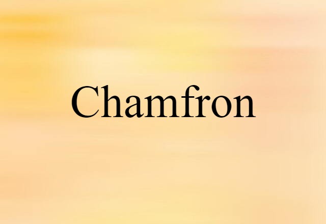 Chamfron (noun) Definition, Meaning & Examples