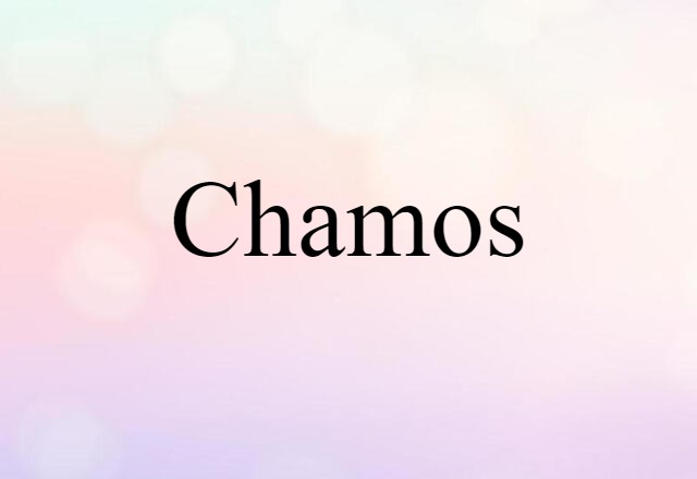 Chamos (noun) Definition, Meaning & Examples