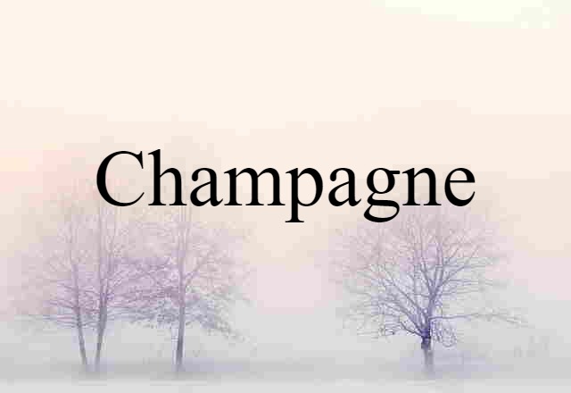 Champagne (noun) Definition, Meaning & Examples