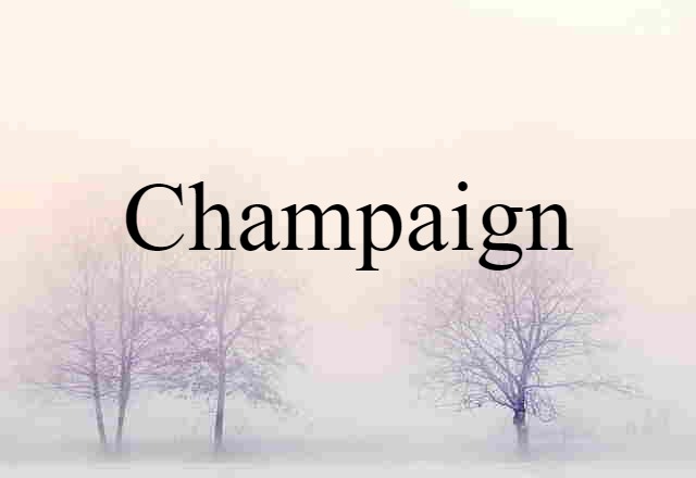 Champaign (noun) Definition, Meaning & Examples